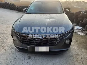 2021, Hyundai / Tucson, VIN: KMHJB81CBMU039715, 107529 км., diesel