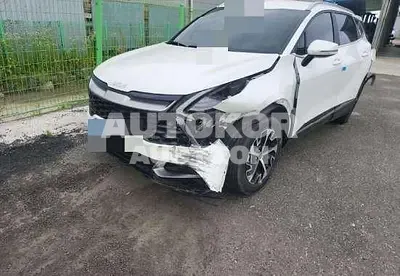 2023, Kia / Sportage, VIN: KNAPV81GBPK070678, hybrid, 1600 куб.см.