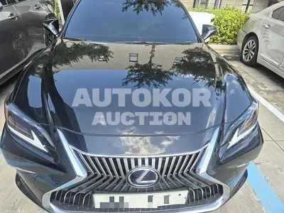 2019, Lexus / es300h, 97369 км., hybrid