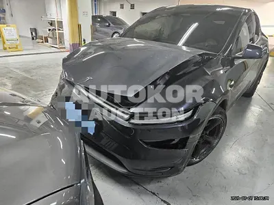 2026, Tesla / Model Y, 13335 км., electric