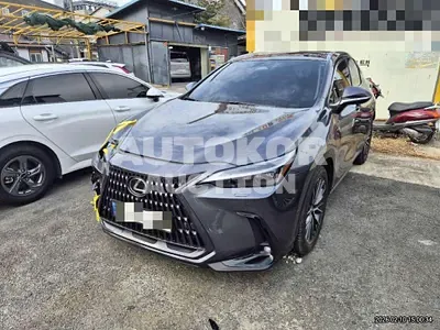 2025, Lexus / nx350h, 15000 км., hybrid