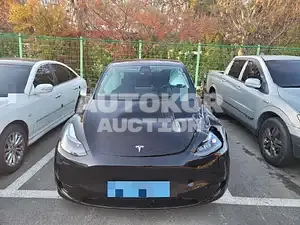 2023, Tesla / Model Y, VIN: LRWYGCFS5PC103543, 4504 км., electric
