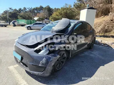 2025, Tesla / Model Y, VIN: LRWYGCFS0SC933517, electric, 1 куб.см.