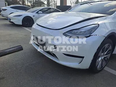 2021, Tesla / Model Y, 49322 км., electric, 1999 куб.см.