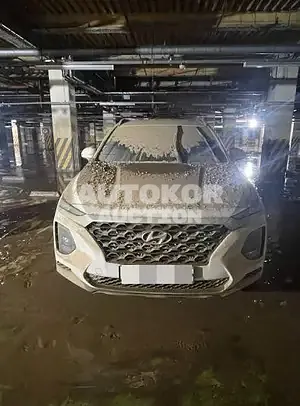 2018, Hyundai / Santa FE, diesel
