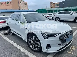 2021, Audi / e-tron, VIN: WAUZZZGE4MB043024, 30000 км., electric, 240 куб.см.