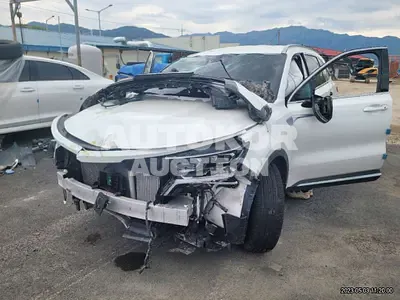 2022, Kia / Sorento, VIN: KNARH81GDNA092194, hybrid