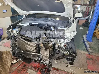 2019, Hyundai / Santa FE, VIN: KMHS381BBKU099766, 87962 км., diesel