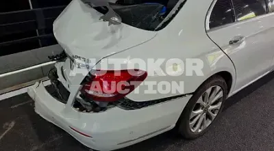 2020, Mercedes-Benz / E 220, VIN: W1KZF0FB8LA769574, 50915 км., diesel