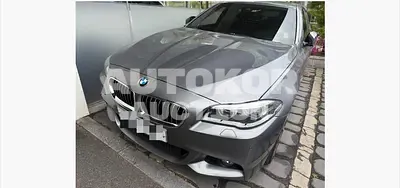 2016, BMW / 520, 128648 км., diesel, 1995 куб.см.