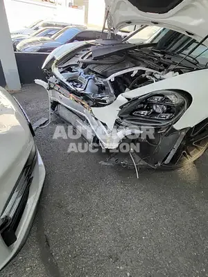 2020, Porsche / Panamera, VIN: WP0AA2973LL102389, gas