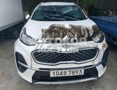 2020, Kia / Sportage, VIN: KNAPN813BLK870064, diesel