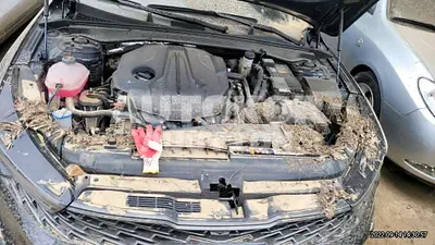 2022, Kia / K5, VIN: KNAG241ABNA156943, gas