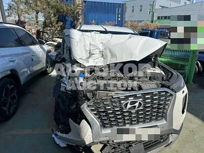 2019, Hyundai / Palisade, VIN: KMHR381ADKU025208, 305876 км., diesel, 2199 куб.см.