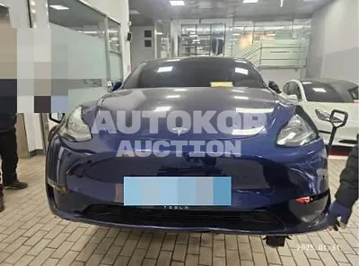 2022, Tesla / Model Y, VIN: 7SAYGDEE3NF417344, 50292 км., electric