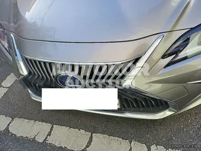 2021, Lexus / ES 300, VIN: JTHBA1C11M2000470, 58087 км., hybrid