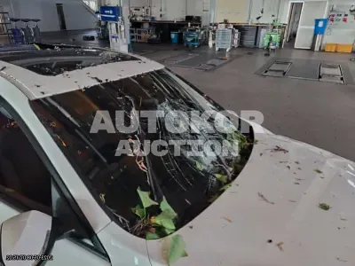 2017, BMW / 320, VIN: WBA8T3105HG799641, 69469 км., diesel