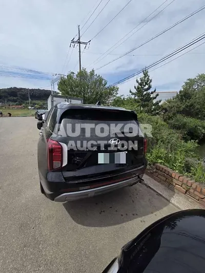 2024, Hyundai / Palisade, 50000 км., diesel, 2200 куб.см.