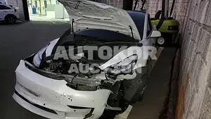 2020, Tesla / Model 3, VIN: 5YJ3E1EB7LF733537, electric, 225 куб.см.