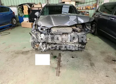 2020, Hyundai / Santa FE, VIN: KMHS281BBLU285246, diesel