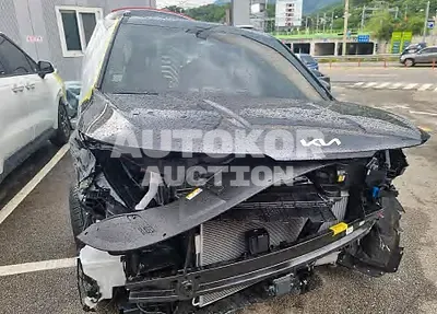 2022, Kia / Carnival, VIN: KNANE81BBNS173437, diesel