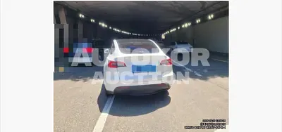 2024, Tesla / Model Y, 60000 км., electric