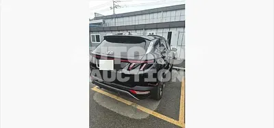 2023, Hyundai / Tucson, gas, 1598 куб.см.