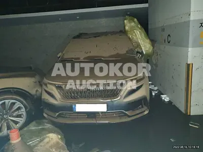 2021, Kia / Carnival, VIN: KNANE813BMS031604, gas