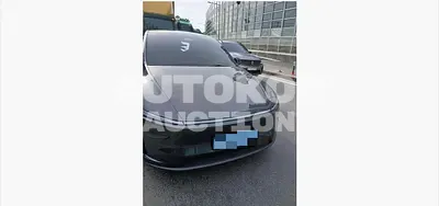 2025, Tesla / Model Y, electric, 180 куб.см.