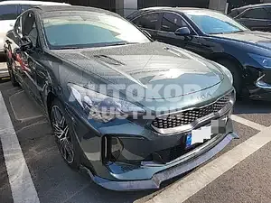 2021, Kia / Stinger, VIN: KNAE551CDNS116864, 3630 км., gas, 3342 куб.см.