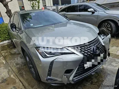2020, Lexus / UX 250, 89504 км., hybrid