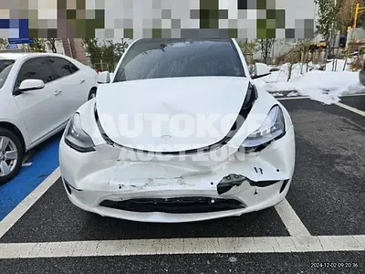 2021, Tesla / Model Y, electric