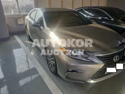 2017, Lexus / ES 300, VIN: JTHBW1GG4H2149865, 53728 км., hybrid