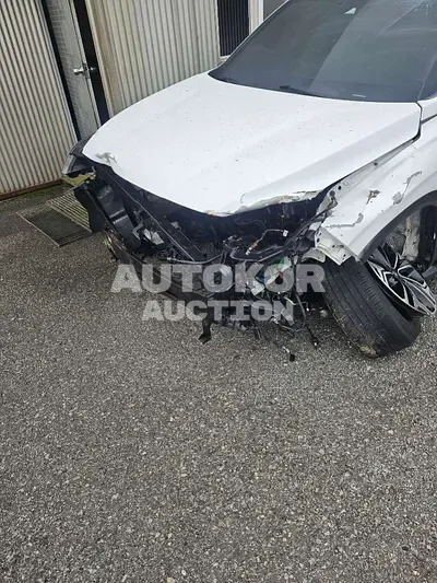 2019, Hyundai / Santa FE, VIN: KMHS381CBKU015688, diesel