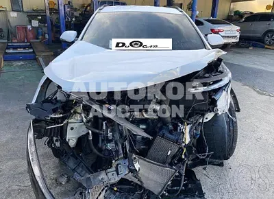 2016, Hyundai / Santa FE, VIN: KMHSW81UBGU692132, 52425 км., diesel