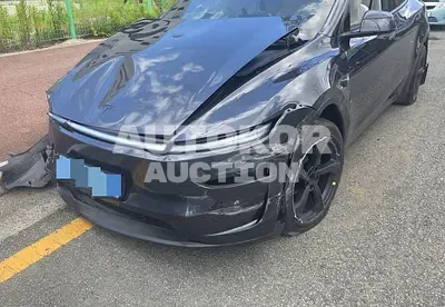 2025, Tesla / Model Y, electric