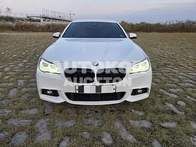2016, BMW / 520, VIN: WBA5E5102GG203618, 137836 км., diesel