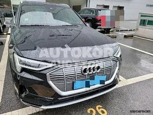 2020, Audi / e-tron, VIN: WAUZZZGE1LB031508, 14965 км., electric