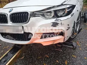 2017, BMW / 320, VIN: WBA8A9103JK884165, 100000 км., gas, 1997 куб.см.