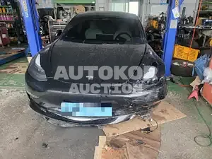2022, Tesla / Model 3, VIN: 5YJ3E1EB9NF150597, 44454 км., electric, 236 куб.см.