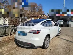 2023, Tesla / Model Y, VIN: 7SAYGDEE2PF641689, 8000 км., electric