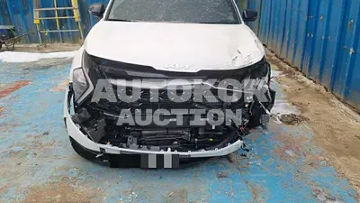 2024, Kia / Sportage, hybrid