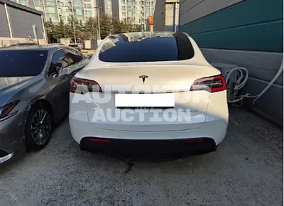 2021, Tesla / Model Y, 233482 км., electric