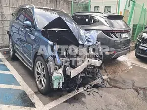2020, Kia / Sorento, VIN: KNARH81BGMA062553, diesel