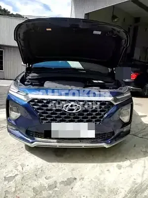 2018, Hyundai / Santa FE, VIN: KMHS581BDKU127306, diesel, 2000 куб.см.