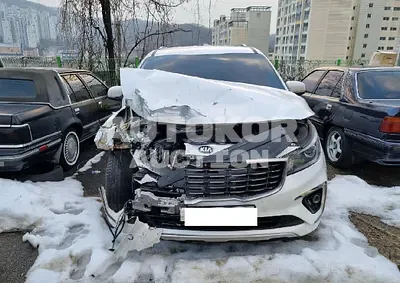 2019, Kia / Carnival, VIN: KNAMB81ABKS575292, 129928 км., diesel