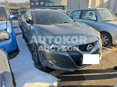 2017, Nissan / Maxima, 75443 км., gas