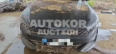 2019, BMW / B5, 58728 км., gas, 1598 куб.см.