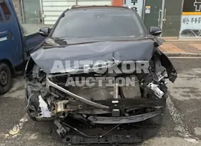 2019, Kia / Sorento, VIN: KNAPK81BBKA516596, diesel