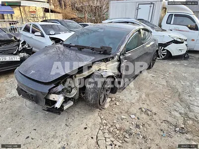 2025, Tesla / Model 3, VIN: LRW3E7FS9SC601180, 18956 км., electric, 1 куб.см.